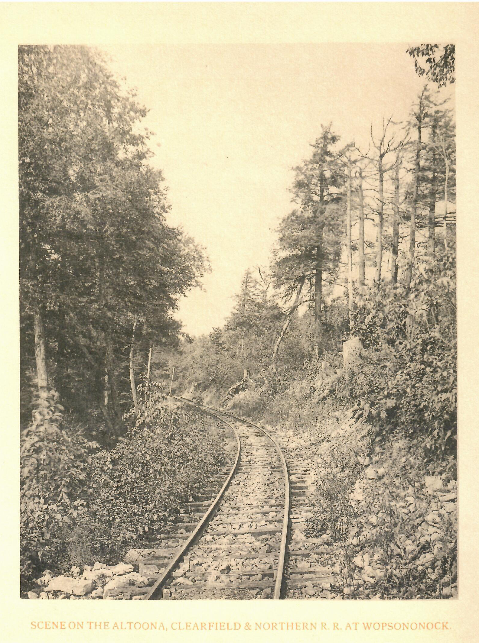 Altoona, Clearfield & Northern – A Narrow-Gauge Railroad