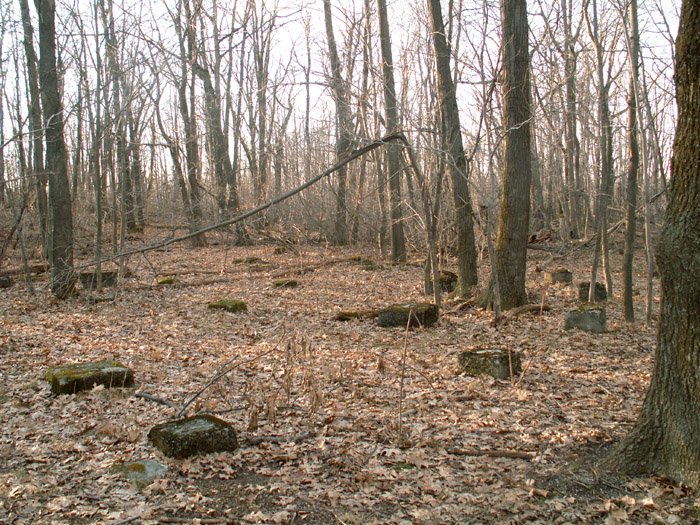 Carousel in the Wopsononock Park