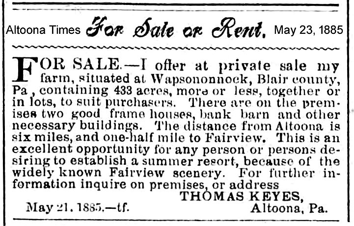 1885 Altoona Times advertisement for Wopsononock farm for sale by Thomas Keyes